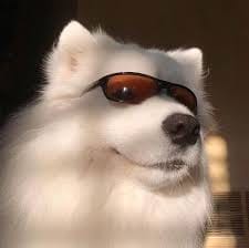 Andika Hazrumy avatar