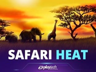 Safari Heat game thumbnail